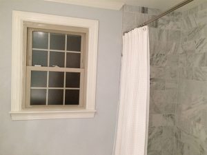 Shower Curtain and Matching Roman Shade